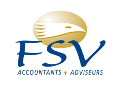 FSV Accountants + Adviseurs